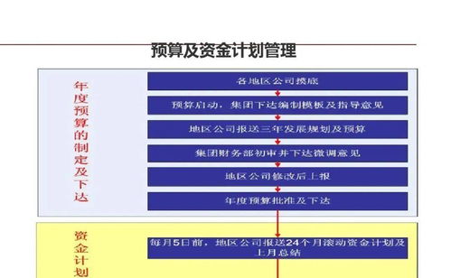 龍湖企業管理與運營的精細化管理策略