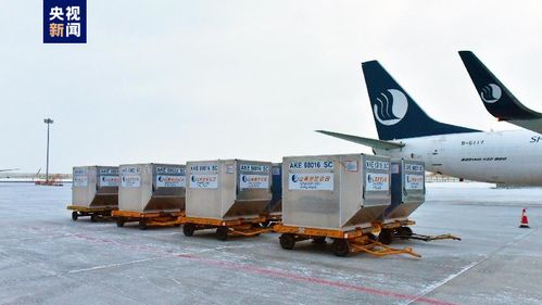 新疆首條定期國(guó)際貨運(yùn)航線(xiàn)正式通航，年貨運(yùn)吞吐量預(yù)計(jì)達(dá)3000噸