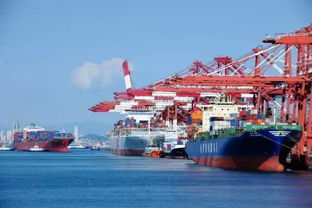 報關企業 vs. 進出口貨物收發貨人 理清角色，保障貨物高效通關